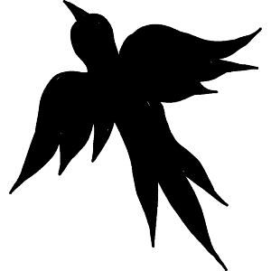 A Black Bird In Flight