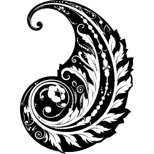 Paisley Feather