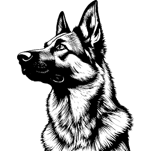German Shepherd Side View