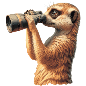 Meerkat & Binoculars