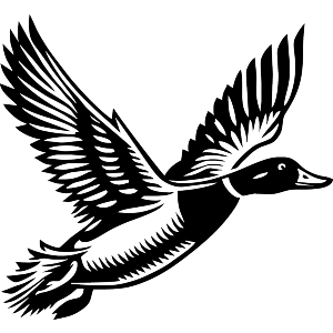 Flying Duck