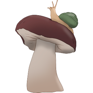 Snail on a Mushroom