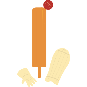 Equipment For Playing Cricket 