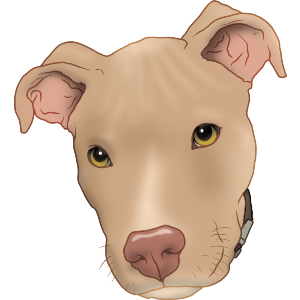 Fawn Pit Bull Terrier