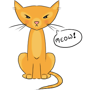 Cat Says Meow!