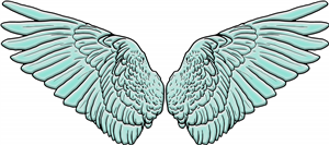 Angel Wings