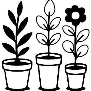 Growing Flower Pots