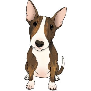 Sitting Bull Terrier