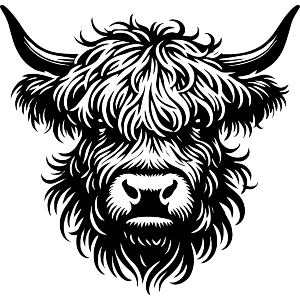 Highland Cow