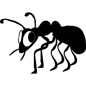 Funny Ant