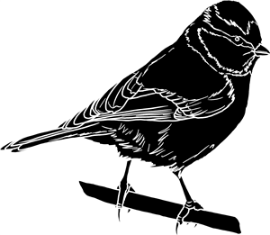 Blue Tit Silhouette