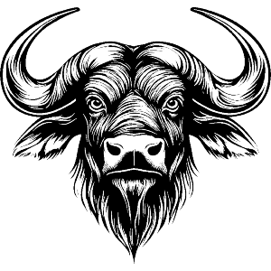 African Buffalo
