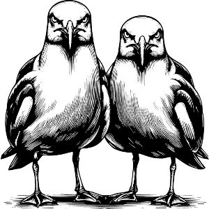 Angry Seagulls
