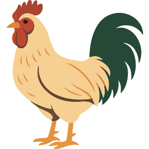Standing Rooster
