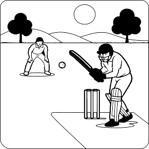 Cricket Match Action