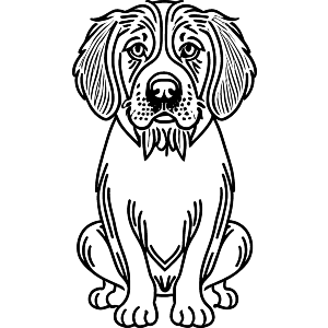 Clumber Spaniel Dog