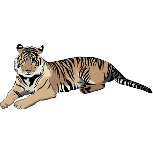 Serene Jungle King – Elegant Tiger