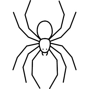 Spider