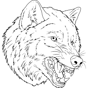 Snarling Wolf Head