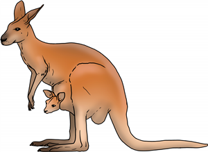 Kangaroo & Joey