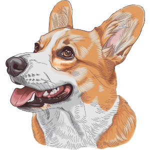 Open Mouth Welsh Corgi