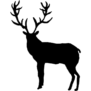 Stag Silhouette
