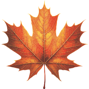 Maple Leaf