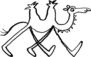 Camel