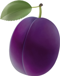 Plum