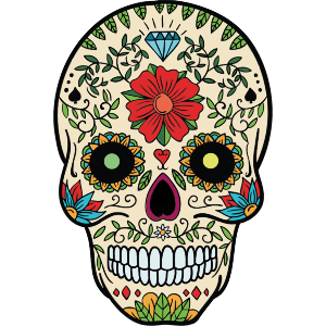 Coloured Skull