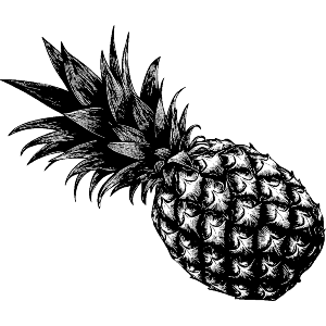 Single Pineapple