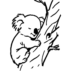 Koala Napping In Tree