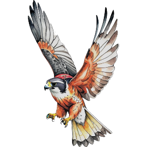 Falcon Ready To Catch Its Prey