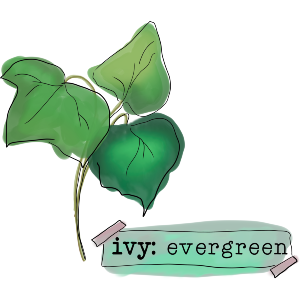 Ivy Evergreen