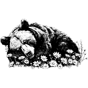 Grizzly Bear Sleeping with Flowers