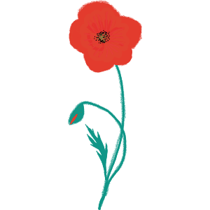 A Poppy In Bloom