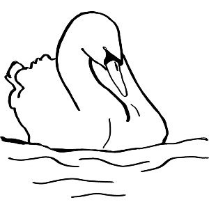 Swan
