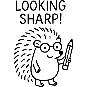 Looking Sharp Hedgehog