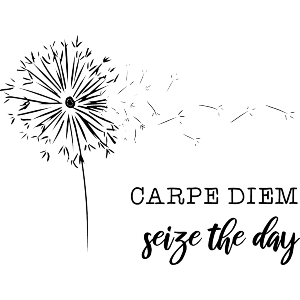 Carpe Diem: Seize The Day