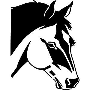 Horse Face