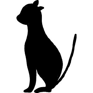 A Black Cat