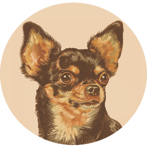 Vintage Chihuahua Portrait