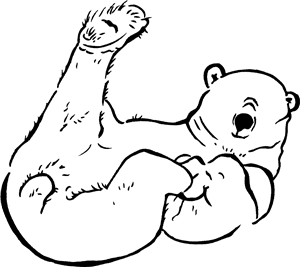 Playful Polar Bear