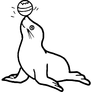 Seal Playing