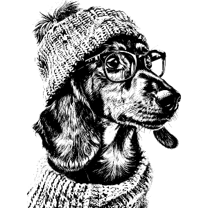 Dachshund Wearing Glasses