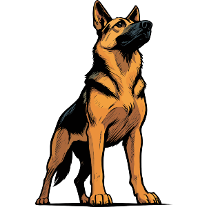 Proud German Shepherd