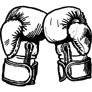 Boxing Gloves