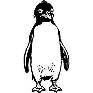 Rockhopper Penguin