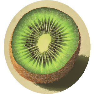 Single Kiwi Fruit