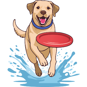 Labrador Chasing Frisbee 